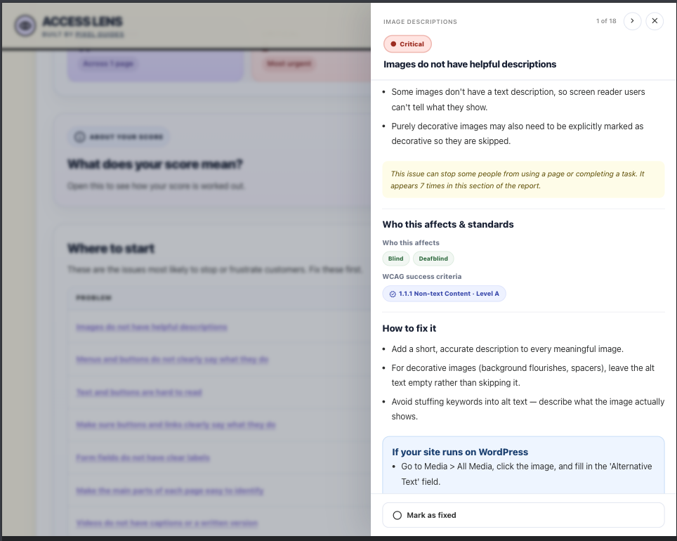 Access Lens report showing a detailed accessibility issue panel